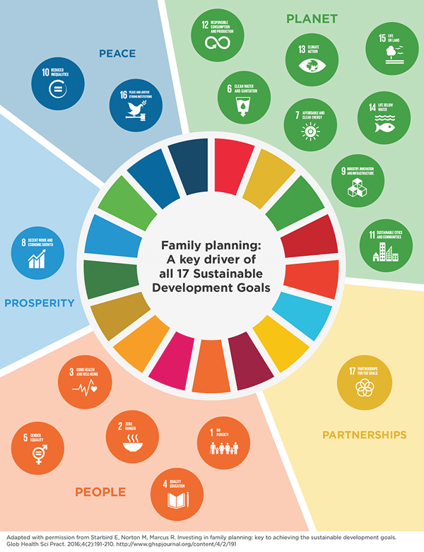 fp2020_momentum_at_the_midpoint-fp_and_sdgs