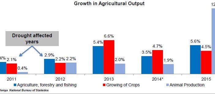 Growth and agriculture in drought period