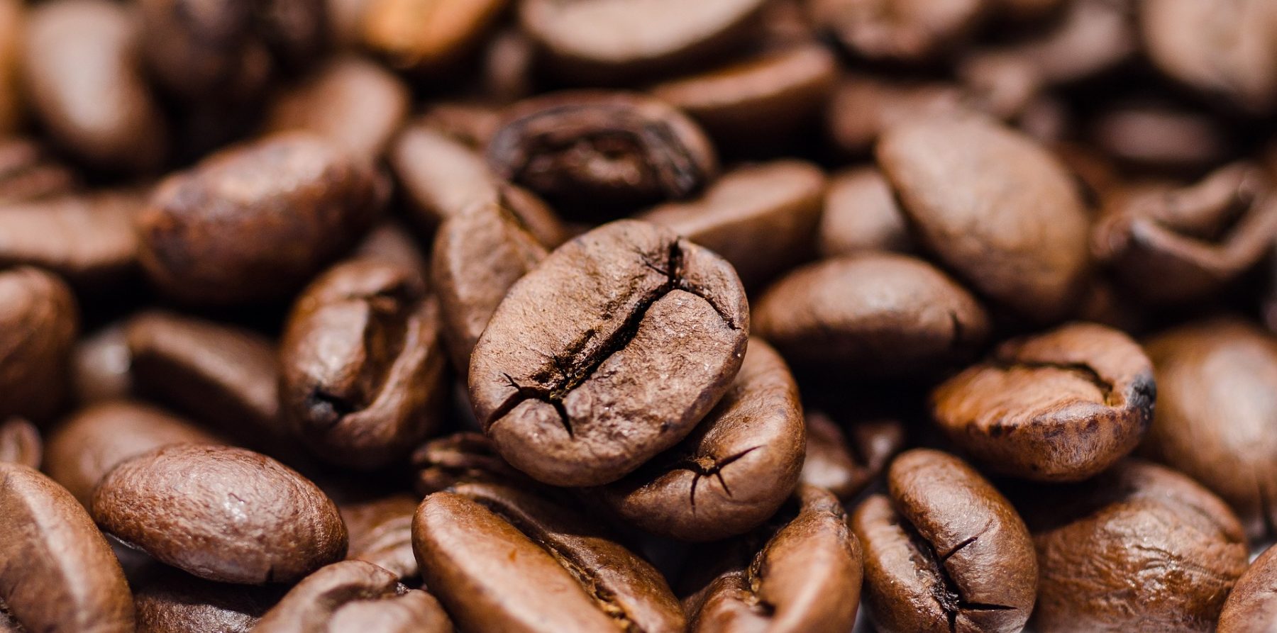 Top Kenyan Coffee Exporters,a significant earner of foreign exchange