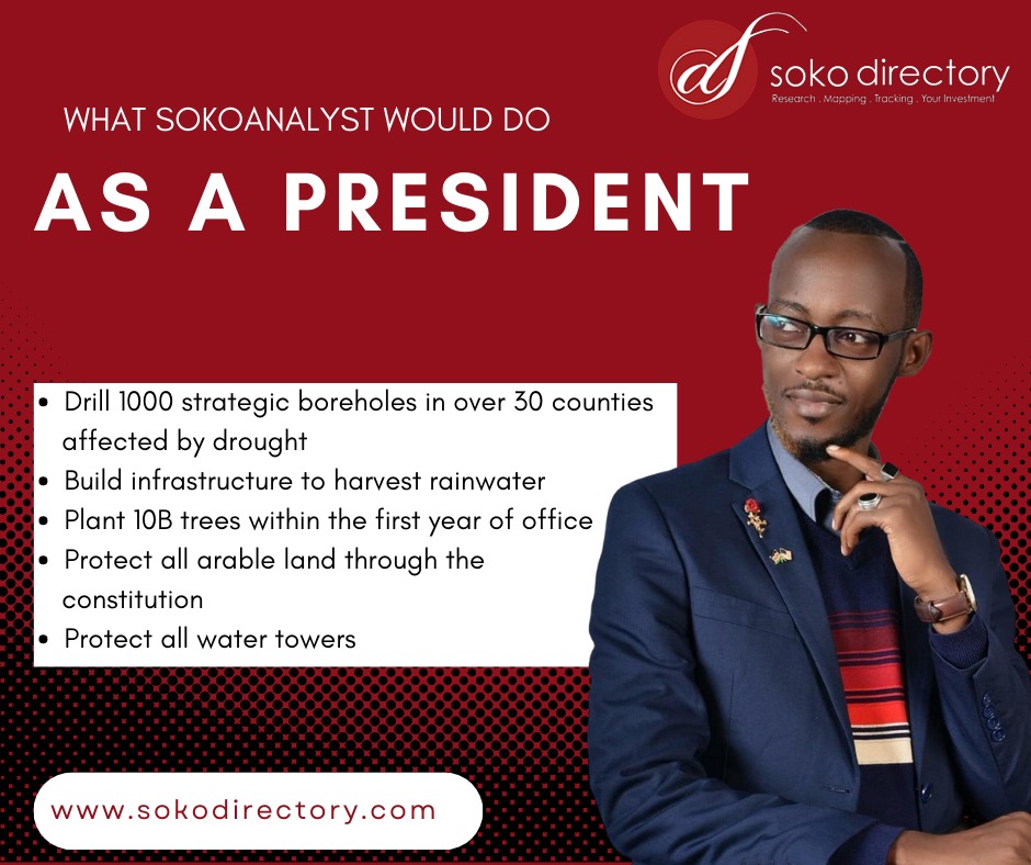 Soko Analyst