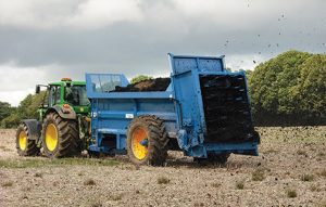 How Can Kenya Tackle The Youth Unemployment Crisis? Any Lessons From Del Monte?