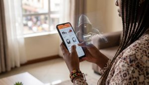 Online Fraud
